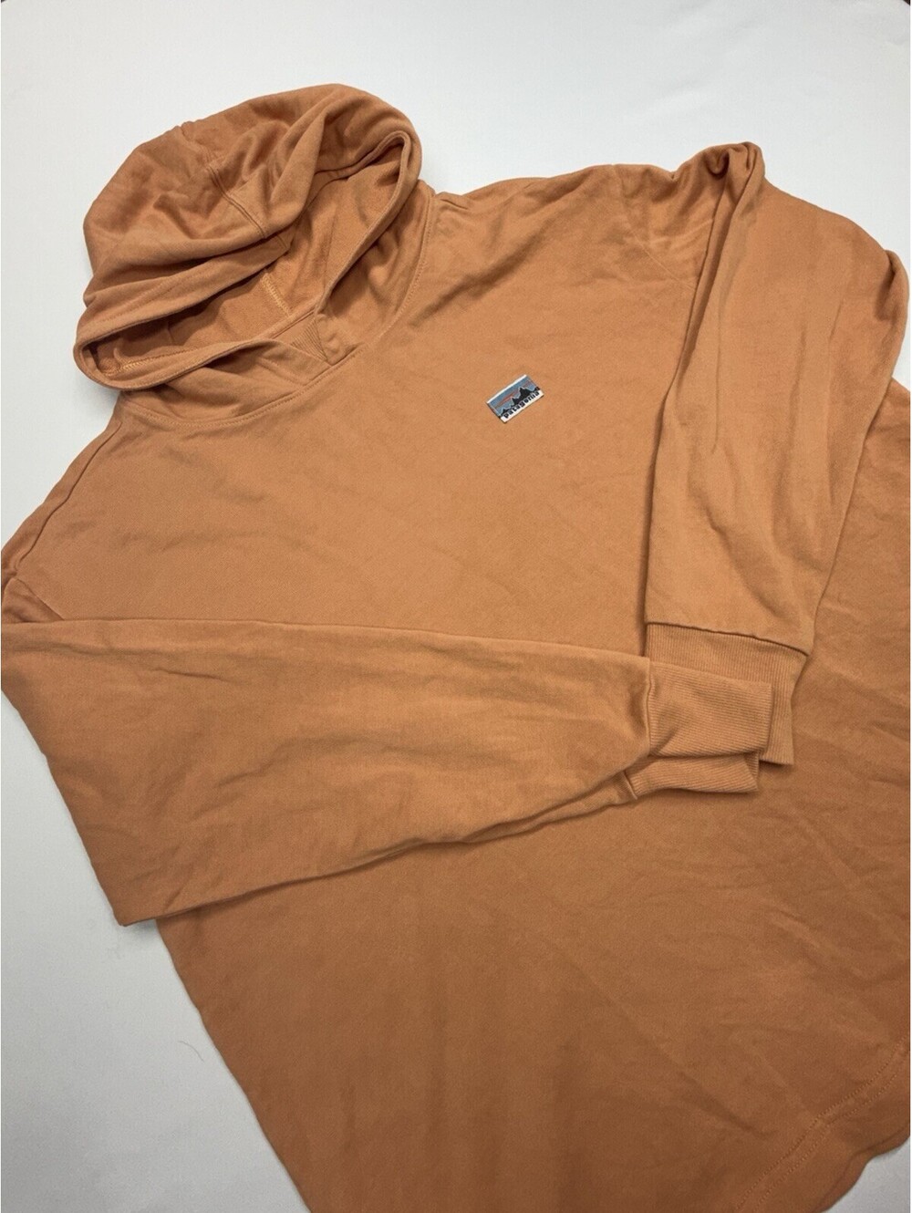 Women's patagonia Regenerative Organic Certified Cotton Essential Hoody XL